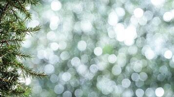 serene winter scene featuring blurred background of shimmering bokeh lights and evergreen photo