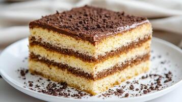 deliciously layered cake with rich chocolate frosting and crumbly texture, perfect for dessert photo