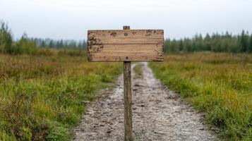 wooden sign stands on dirt path surrounded by lush greenery, inviting exploration photo