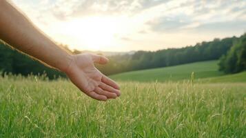 hand reaching out through tall grass, embracing nature beauty at sunset photo