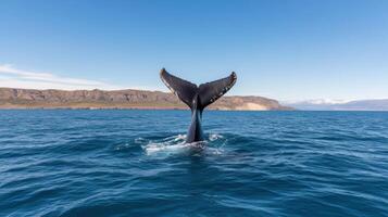 majestic whale tail emerging from ocean, showcasing beauty of marine life and nature photo
