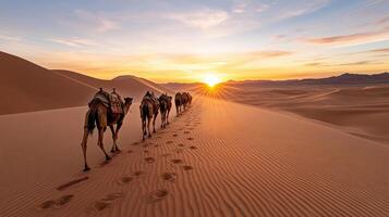 serene sunset view of camels walking through vast desert landscape, leaving footprints in sand photo