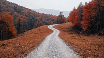 winding road through breathtaking autumn landscape with vibrant orange foliage photo