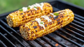 Grilled corn cob with charred kernels and topped with cheese, creating delicious summer treat photo