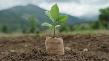 young plant grows in biodegradable protector, symbolizing hope and sustainability photo