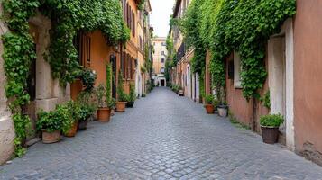 charming alley in Rome, lined with ivy covered walls and potted plants, creates cozy atmosphere photo