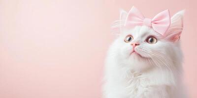 Adorable white cat with pink bow looking up against a soft pastel background photo