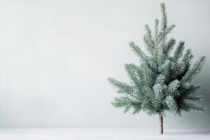 Minimalist frosted pine tree against pale backdrop for winter holiday theme simplicity and elegance photo