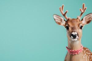 Adorable young deer with antlers and red collar against a pastel teal background photo