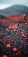 Vibrant red blossoms against blurred mountain backdrop in serene natural landscape photo