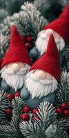 Festive gnome figurines with red hats nestled amongst frosted evergreen sprigs and berries in a holiday decor scene photo