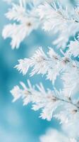 Delicate frost covered branches against a soft blue winter background creating a serene icy scene photo