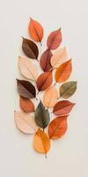 Collection of vibrant autumn leaves arranged on a light surface in a symmetrical pattern, photo