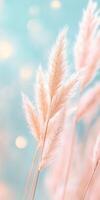 Close up of delicate pampas grass against a soft blue background with bokeh lighting effects photo