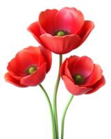 Bright and Vivid Red Poppies Flowers in Transparent Background png