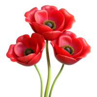 Red Poppies Flowers with Soft Glow in Transparent Background png