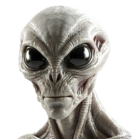 An alien head with large eyes and a large nose on a transparent background png