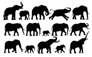 Set silhouettes of a wild africans elephants. vector