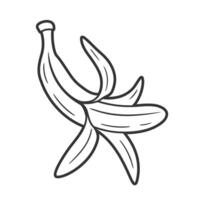 Line art of banana isolated on white background vector