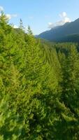 Maneuverable flight over mountain slope covered with forest by FPV Drone. Vertical video