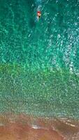 Man in red shorts swims in the clear sea, top down view. video