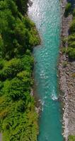 Top down view of fast moving river surrounded by pine forest. Canada. Vertical video