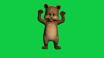 dibujos animados osito de peluche oso aplausos, danza lazo 3d animación aislado en verde pantalla antecedentes video