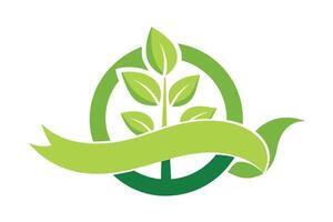 Sprout with Green Leaves, Circle, and Ribbon Banner on White Background Design vector