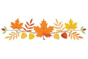 Autumnal Leaves Border with Maple and Branch Accent on White Background vector