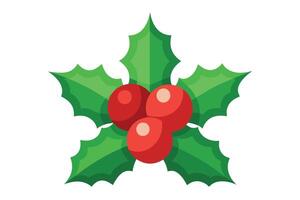 Holly Branch with Red Berries and Green Leaves on White Background vector