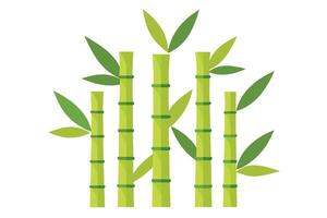 Bamboo Stalks and Green Leaves on White Background in Flat Design vector