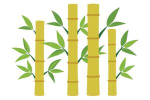 Bamboo Stalks with Green Leaves, Cartoon on White Background vector