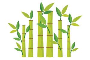 Green Bamboo Stalks with Leaves Design on White Background Botanical Theme vector