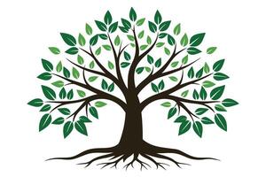 Stylized Deciduous Tree with Green Leaves and Roots on White Background vector