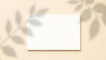 Minimalist composition with blank paper, shadow and plants for your visual brand mockup photo