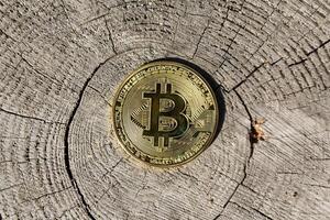 Single golden bitcoin is standing on the wooden surface photo