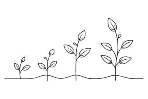 Black Outline Seedling Growth Stages on White Background vector