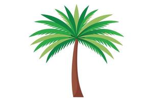 Vivid Flat Design Palm Tree with Lush Green Leaves on White vector
