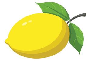 Isolated Yellow Lemon with Green Leaves on White Background vector