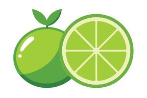 Fresh Green Lime Citrus Fruit with Slice and Leaves on White Background vector