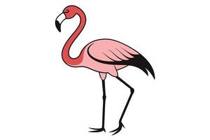 Cartoon Flamingo Standing Profile View with Pink Plumage Isolated on White vector