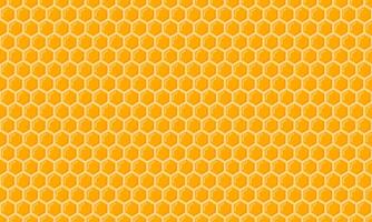 Honeycomb with bee honey seamless pattern. Hexagon grid cells background. Apiary collection. Beeswax. illustration isolated vector