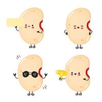 Collection of happy kidney bean characters showing various moods and holding different objects. vector