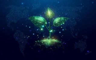 Wireframe polygonal plant with globe map. Plant sprout. Growing plant in low poly wireframe style. Abstract modern 3d illustration on dark blue background. vector