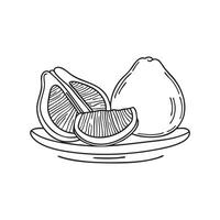 Pomelo segments arranged on a plate with whole pomelo beside vector