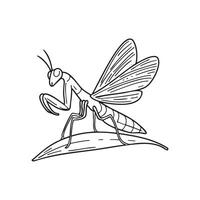 Praying mantis with wings spread in a defensive posture on a leaf vector