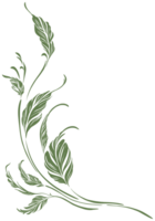leaf branches corner design decorative ornament isolated on a transparent background png