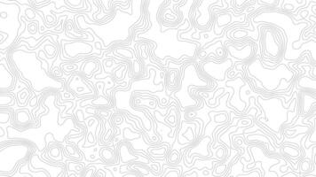 Topographic Map Animated Background, animated background with topographic style video