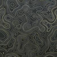 Abstract Topographic Pattern Dark Background Golden Lines Elegant Design Modern Art Texture Wallpaper vector