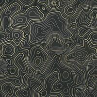 Abstract Topographic Lines Seamless Pattern Elegant Gold and Black Background Texture Modern Art Design vector